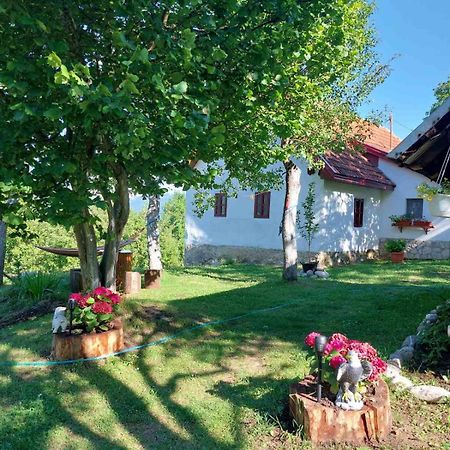 Etno Guest House Lalovic Т'єнтіште Екстер'єр фото
