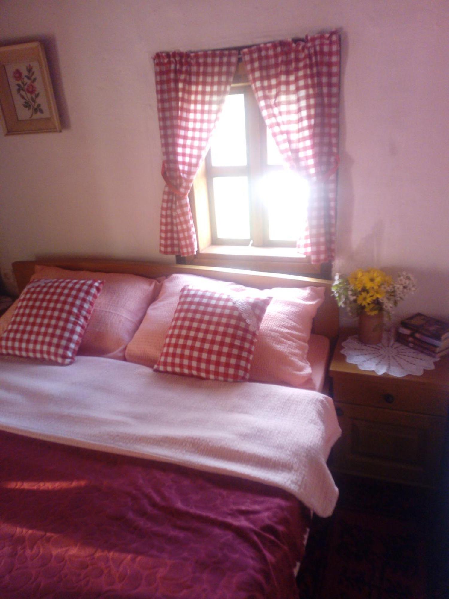 Etno Guest House Lalovic Т'єнтіште Номер фото