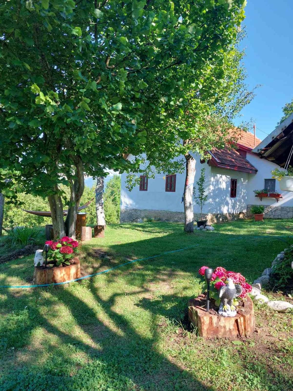 Etno Guest House Lalovic Т'єнтіште Екстер'єр фото